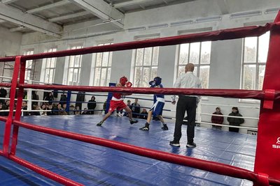 У Житомирі проводять дводенний відкритий турнір з боксу серед молоді У Житомирі проводять дводенний відкритий турнір з боксу серед молоді