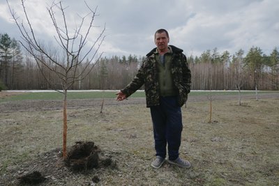 Останній житель села Зелений Гай на Житомирщині: «Просто не знаходжу собі місця десь там у місті» Останній житель села Зелений Гай на Житомирщині: «Просто не знаходжу собі місця десь там у місті»