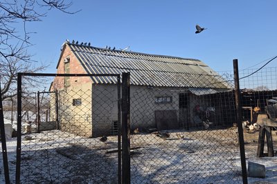 Жителька Миколаївщини відновлює дім та пасіку після обстрілів і затоплення Жителька Миколаївщини відновлює дім та пасіку після обстрілів і затоплення