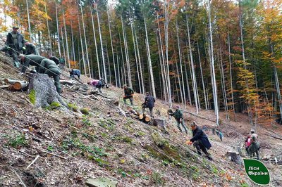 На Закарпатті висадили сіянці дерев на площі 389,4 гектара На Закарпатті висадили сіянці дерев на площі 389,4 гектара