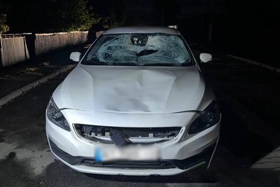 У громаді на Житомирщині під колесами легковика загинув пішохід — у поліції розслідують обставини У громаді на Житомирщині під колесами легковика загинув пішохід — у поліції розслідують обставини