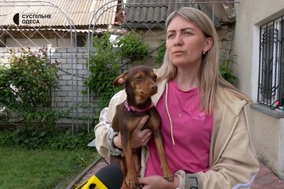 Тварини і війна: як вберегти собаку під час обстрілів Тварини і війна: як вберегти собаку під час обстрілів