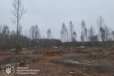 На Житомирщині продовжують знищувати ліси: невідомі вирубали 35 гектарів дерев На Житомирщині продовжують знищувати ліси: невідомі вирубали 35 гектарів дерев