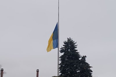 чернеточкаа чернеточкаа