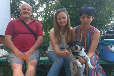 Долина-Житомир-Франція, або історія порятунку пораненого на війні пса Долина-Житомир-Франція, або історія порятунку пораненого на війні пса