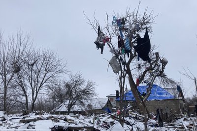 рогань влучання рогань влучання