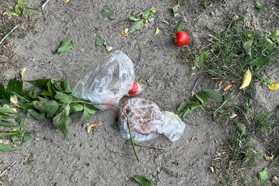 "Продавав полуницю". У Шостці загинув пенсіонер через російський удар "Продавав полуницю". У Шостці загинув пенсіонер через російський удар