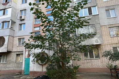 "Роблю це для душі": історія пенсіонера, який понад 30 років озеленює Миколаїв "Роблю це для душі": історія пенсіонера, який понад 30 років озеленює Миколаїв