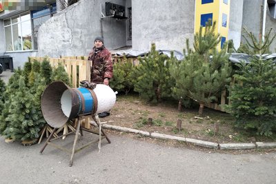 У Луцьку запрацювали ялинкові ярмарки: скільки коштують ялинки та сосни до свят У Луцьку запрацювали ялинкові ярмарки: скільки коштують ялинки та сосни до свят