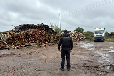 Незаконна вирубка понад 8 тисяч дерев на Житомирщині: четверо чоловіків отримали підозри Незаконна вирубка понад 8 тисяч дерев на Житомирщині: четверо чоловіків отримали підозри