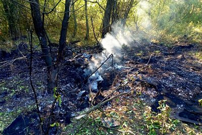 Впали у полі та у лісі: на Вінниччині виявили уламки трьох безпілотників Впали у полі та у лісі: на Вінниччині виявили уламки трьох безпілотників
