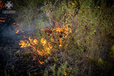 На Одещині згоріло 105 гектарів сухої трави На Одещині згоріло 105 гектарів сухої трави