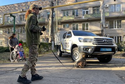 Чотирилапі терапевти: як собаки допомагають маленьким пацієнтам миколаївської лікарні Чотирилапі терапевти: як собаки допомагають маленьким пацієнтам миколаївської лікарні