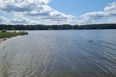 Відпочинок на пляжах Житомирщини — у яких водоймах вода не відповідає санітарним нормам Відпочинок на пляжах Житомирщини — у яких водоймах вода не відповідає санітарним нормам