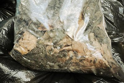 В Одесі хіміки зібрали 30 кг ґрунту, забрудненого ртуттю В Одесі хіміки зібрали 30 кг ґрунту, забрудненого ртуттю