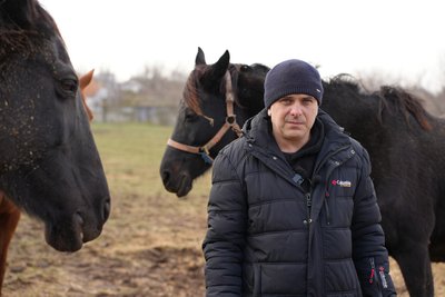 Врятовані з-під обстрілів: як евакуйовані коні звикають до нового дому в Миколаєві Врятовані з-під обстрілів: як евакуйовані коні звикають до нового дому в Миколаєві