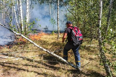 У лісах Житомирщини за тиждень сталося 5 пожеж — деякі з них продовжують досі ліквідовувати У лісах Житомирщини за тиждень сталося 5 пожеж — деякі з них продовжують досі ліквідовувати
