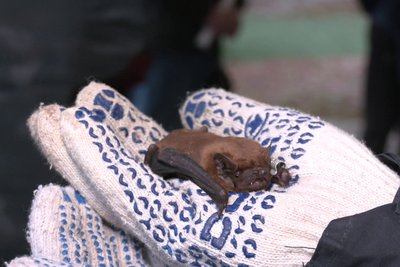 Життя Харкова та області у фото: 27 березня — 2 квітня Життя Харкова та області у фото: 27 березня — 2 квітня