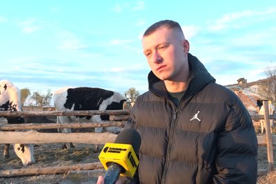 Загибель корів: на держпідприємстві "Рихальське" у Житомирській області проводили слідчі дії Загибель корів: на держпідприємстві "Рихальське" у Житомирській області проводили слідчі дії