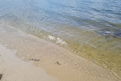 Відпочинок на пляжах Житомирщини — у яких водоймах вода не відповідає санітарним нормам Відпочинок на пляжах Житомирщини — у яких водоймах вода не відповідає санітарним нормам
