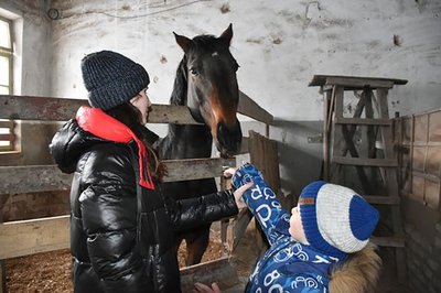 Реабілітація іпотерапією: психологиня допомагала дітям у Лисичанську, а тепер допомагає військовим на Рівненщині Реабілітація іпотерапією: психологиня допомагала дітям у Лисичанську, а тепер допомагає військовим на Рівненщині