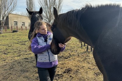 Врятовані з-під обстрілів: як евакуйовані коні звикають до нового дому в Миколаєві Врятовані з-під обстрілів: як евакуйовані коні звикають до нового дому в Миколаєві