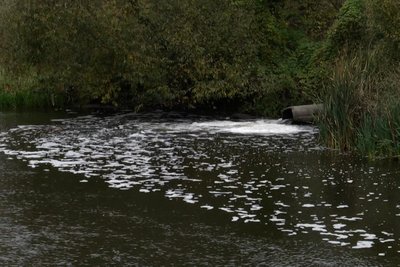 Які причини аварійних скидів у водойми поблизу Житомира — керівник водоканалу Які причини аварійних скидів у водойми поблизу Житомира — керівник водоканалу