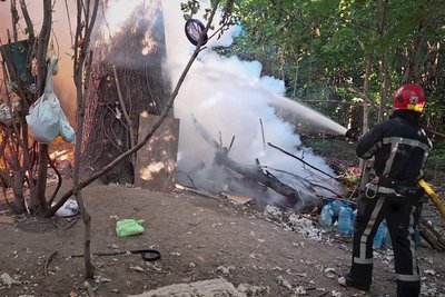 У Вінниці під час пожежі врятували 35 безпритульних собак: одна тварина загинула У Вінниці під час пожежі врятували 35 безпритульних собак: одна тварина загинула