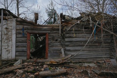 Останній житель села Зелений Гай на Житомирщині: «Просто не знаходжу собі місця десь там у місті» Останній житель села Зелений Гай на Житомирщині: «Просто не знаходжу собі місця десь там у місті»