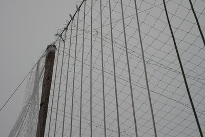 “Сусідка з собакою гуляє — FPV її супроводжує”: життя села за 2 км від Сум “Сусідка з собакою гуляє — FPV її супроводжує”: життя села за 2 км від Сум