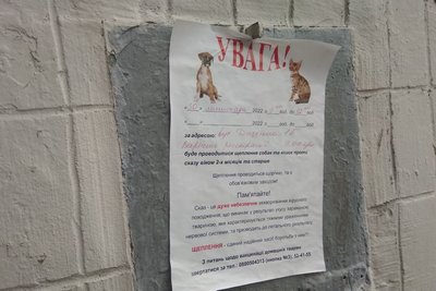 У Харкові робитимуть безплатні щеплення від сказу тваринам У Харкові робитимуть безплатні щеплення від сказу тваринам