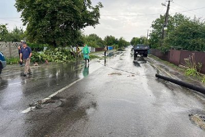 Повалені дерева, паркани, дахи: Малинщина постраждала від негоди Повалені дерева, паркани, дахи: Малинщина постраждала від негоди