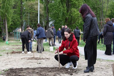 Алея дубів Шевченка у Луцьку Алея дубів Шевченка у Луцьку