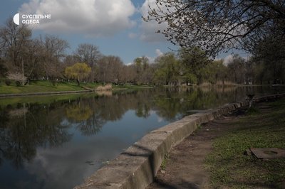 "Обурена від цього бруду": який стан парку Дюківський сад в Одесі "Обурена від цього бруду": який стан парку Дюківський сад в Одесі