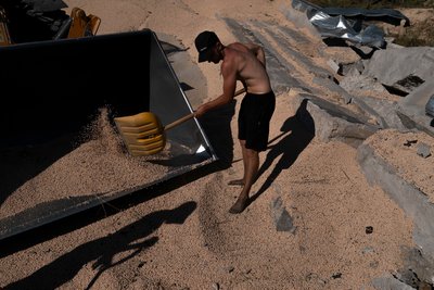 Робітник рятує горох у зерновому комплексі, який сильно постраждав від російських ракетних обстрілів Робітник рятує горох у зерновому комплексі, який сильно постраждав від російських ракетних обстрілів