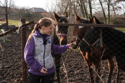 Врятовані з-під обстрілів: як евакуйовані коні звикають до нового дому в Миколаєві Врятовані з-під обстрілів: як евакуйовані коні звикають до нового дому в Миколаєві