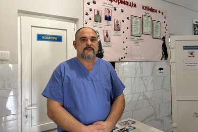 Чи потрібно одягати собак восени та взимку: коментар ветеринара Чи потрібно одягати собак восени та взимку: коментар ветеринара