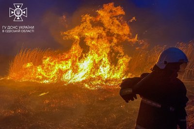 В Одесі горіли поля зрошення