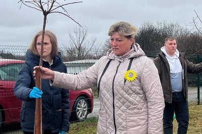 В селі на Житомирщині в пам'ять про загиблих військових висадили алею сакур В селі на Житомирщині в пам'ять про загиблих військових висадили алею сакур