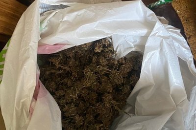Двох жителів Миколаївщини підозрюють у незаконній вирубці дерев. В одного з них також знайшли наркотики Двох жителів Миколаївщини підозрюють у незаконній вирубці дерев. В одного з них також знайшли наркотики
