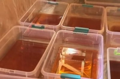 Наркотики на 3 млн гривень: у Києві подружжя влаштувало сімейний наркобізнес Наркотики на 3 млн гривень: у Києві подружжя влаштувало сімейний наркобізнес