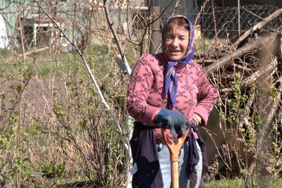 Дачний сезон у Луцьку — дачний масив Дачний сезон у Луцьку — дачний масив