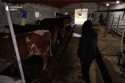 Продали машину, купили корів та відкрили сироварню: як подружжя з Одещини розвиває свою справу під час війни Продали машину, купили корів та відкрили сироварню: як подружжя з Одещини розвиває свою справу під час війни