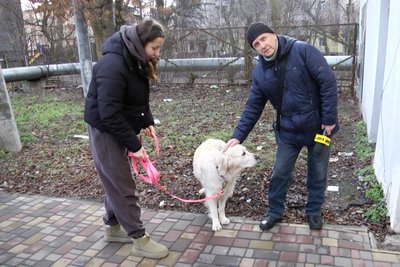 Як житомиряни зустрічатимуть Новий рік під час повномасштабної війни Як житомиряни зустрічатимуть Новий рік під час повномасштабної війни