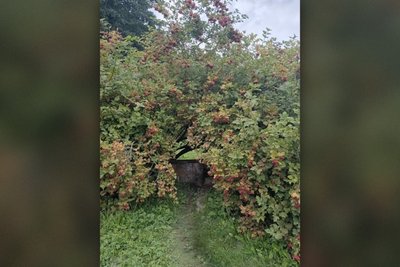 У селах Роменщини пересихають колодязі, а у Путивлі вода непридатна через залізо У селах Роменщини пересихають колодязі, а у Путивлі вода непридатна через залізо