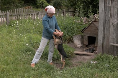 "Два дні дивно поводився": скажений кіт покусав волинянку та її дітей "Два дні дивно поводився": скажений кіт покусав волинянку та її дітей