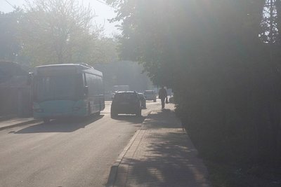 Пожежа у районі міського сміттєзвалищі у Житомирі — що відомо Пожежа у районі міського сміттєзвалищі у Житомирі — що відомо