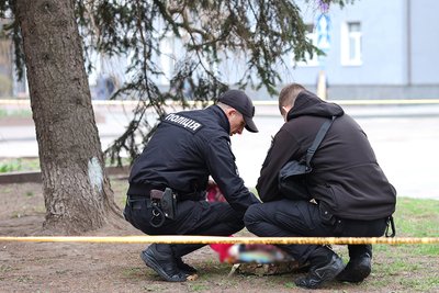 У центрі Житомира поліція перевіряла підозрілу знахідку У центрі Житомира поліція перевіряла підозрілу знахідку