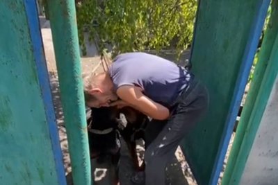 "Власник розплакався і сказав: Майк, пробач, у мене вибору немає". Історії врятованих собак з прифронтових сіл Донеччини "Власник розплакався і сказав: Майк, пробач, у мене вибору немає". Історії врятованих собак з прифронтових сіл Донеччини