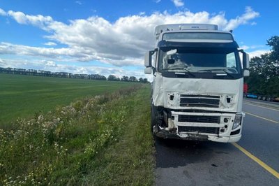 чернетка чернетка